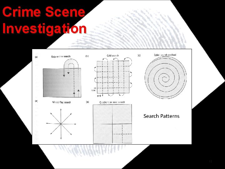 Crime Scene Investigation 20 Crime Scene Investigation 20