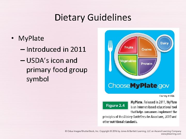 Dietary Guidelines • My. Plate – Introduced in 2011 – USDA’s icon and primary