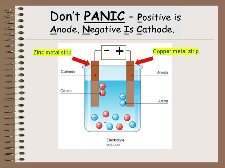 Zinc metal strip -+ Copper metal strip 