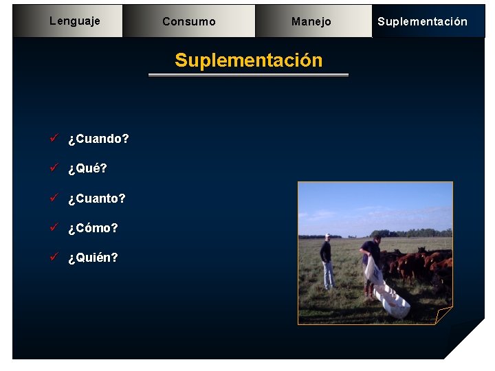 Lenguaje Consumo Manejo Suplementación ü ¿Cuando? ü ¿Qué? ü ¿Cuanto? ü ¿Cómo? ü ¿Quién? Lenguaje Consumo Manejo Suplementación ü ¿Cuando? ü ¿Qué? ü ¿Cuanto? ü ¿Cómo? ü ¿Quién?