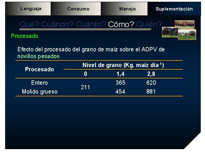 Lenguaje Consumo Manejo Suplementación Qué? Cuándo? Cuánto? Cómo? Quién? Procesado Efecto del procesado del Lenguaje Consumo Manejo Suplementación Qué? Cuándo? Cuánto? Cómo? Quién? Procesado Efecto del procesado del