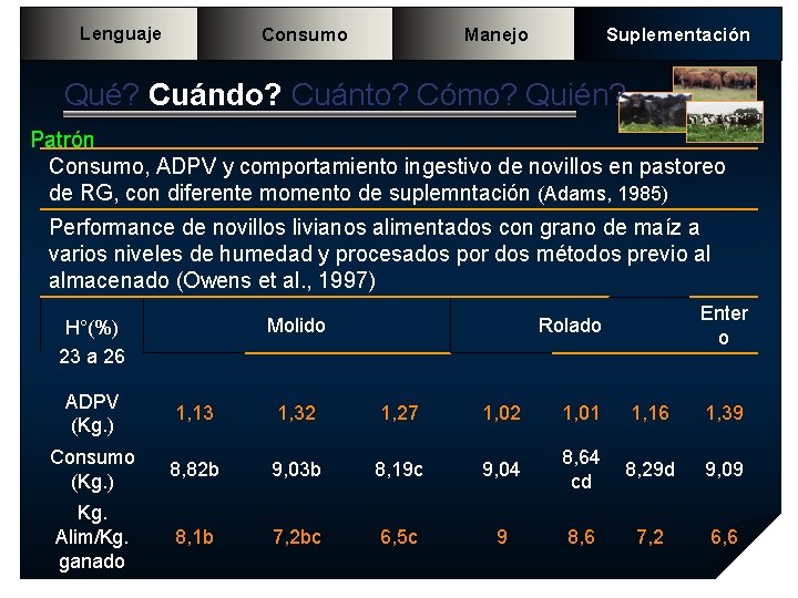 Lenguaje Consumo Manejo Suplementación Qué? Cuándo? Cuánto? Cómo? Quién? Patrón Consumo, ADPV y comportamiento Lenguaje Consumo Manejo Suplementación Qué? Cuándo? Cuánto? Cómo? Quién? Patrón Consumo, ADPV y comportamiento