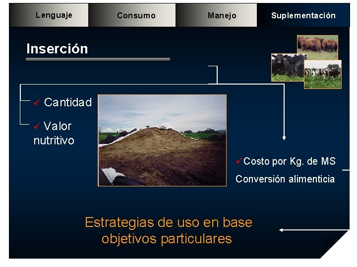 Lenguaje Consumo Manejo Suplementación Inserción ü Cantidad ü Valor nutritivo üCosto por Kg. de Lenguaje Consumo Manejo Suplementación Inserción ü Cantidad ü Valor nutritivo üCosto por Kg. de