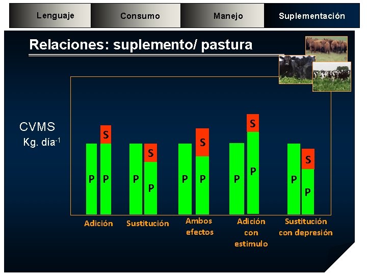 Lenguaje Consumo Manejo Suplementación Relaciones: suplemento/ pastura CVMS Kg. día-1 S S S P Lenguaje Consumo Manejo Suplementación Relaciones: suplemento/ pastura CVMS Kg. día-1 S S S P