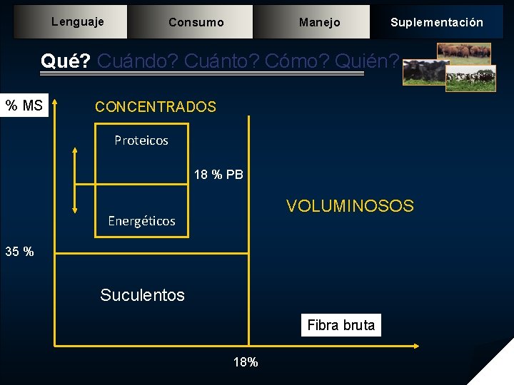 Lenguaje Consumo Manejo Suplementación Qué? Cuándo? Cuánto? Cómo? Quién? % MS CONCENTRADOS Proteicos 18 Lenguaje Consumo Manejo Suplementación Qué? Cuándo? Cuánto? Cómo? Quién? % MS CONCENTRADOS Proteicos 18