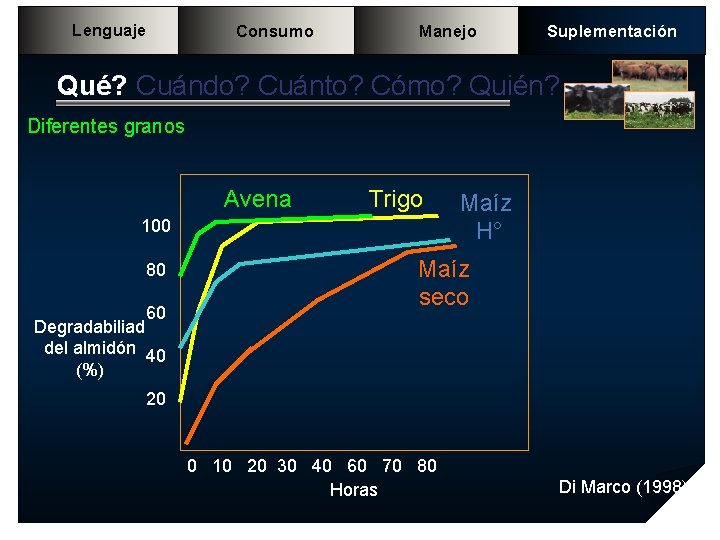 Lenguaje Consumo Manejo Suplementación Qué? Cuándo? Cuánto? Cómo? Quién? Diferentes granos Avena Trigo 100 Lenguaje Consumo Manejo Suplementación Qué? Cuándo? Cuánto? Cómo? Quién? Diferentes granos Avena Trigo 100