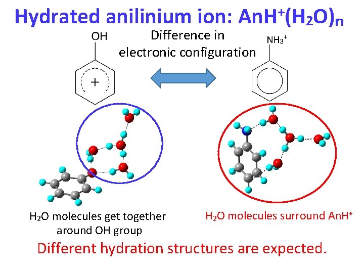 Hydrated anilinium ion: An. H+(H 2 O)ｎ Difference in electronic configuration H 2 O