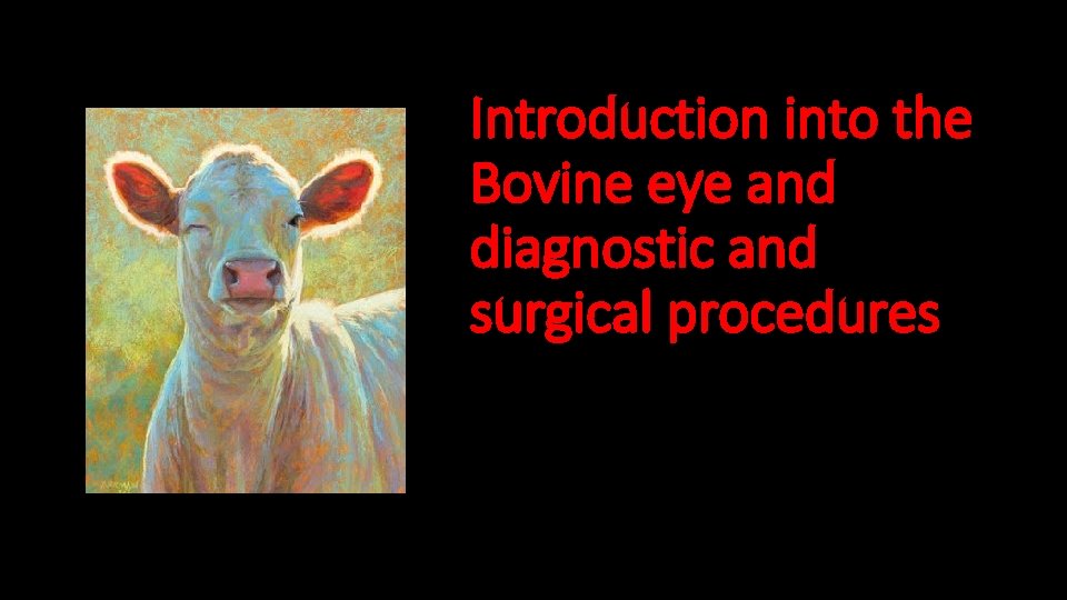 Introduction into the Bovine eye and diagnostic and surgical procedures 