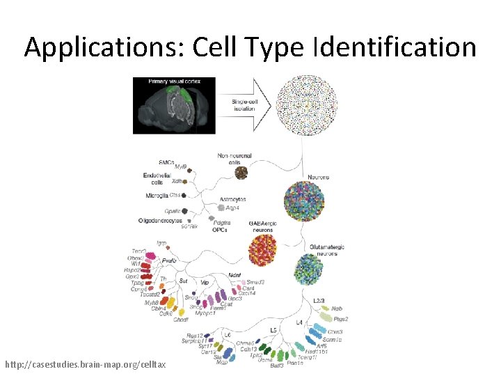 Computational Methods for Analysis of Single Cell RNASeq