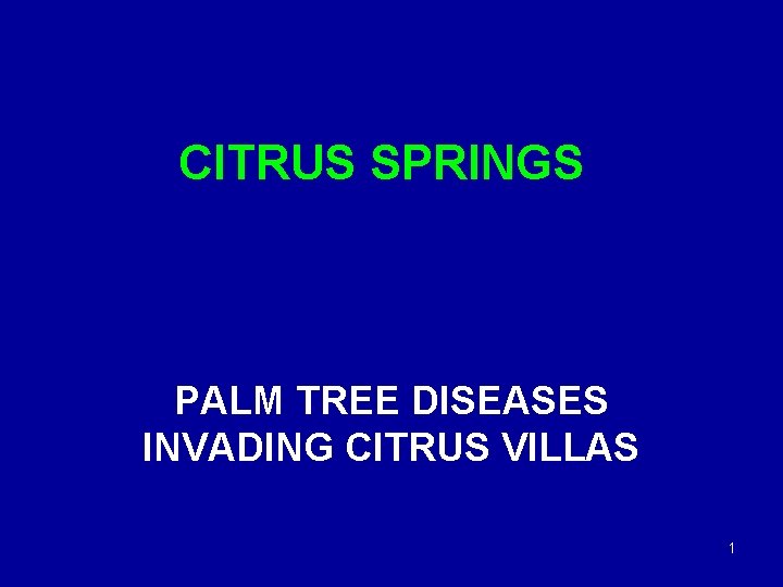 CITRUS SPRINGS PALM TREE DISEASES INVADING CITRUS VILLAS 1 