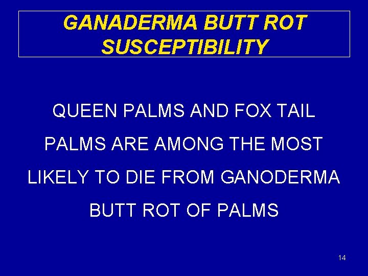 GANADERMA BUTT ROT SUSCEPTIBILITY QUEEN PALMS AND FOX TAIL PALMS ARE AMONG THE MOST