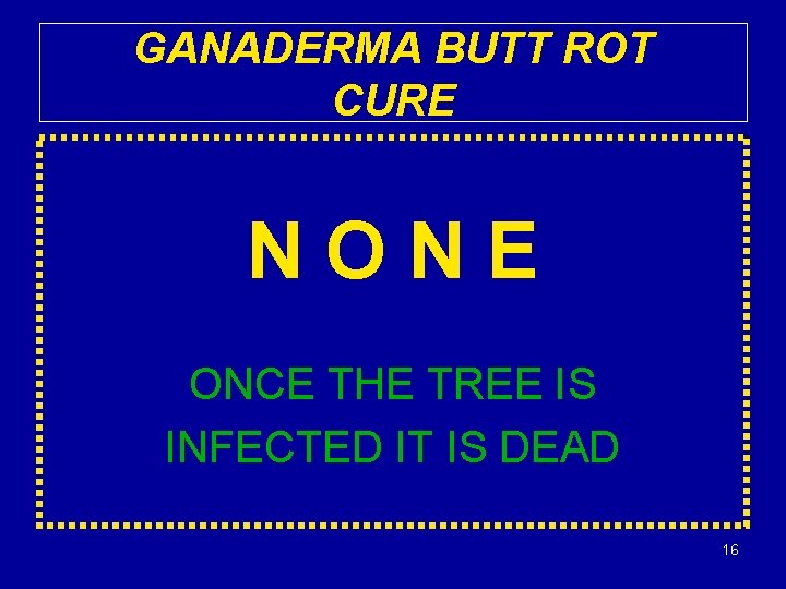 GANADERMA BUTT ROT CURE NONE ONCE THE TREE IS INFECTED IT IS DEAD 16