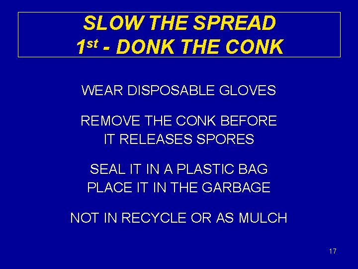 SLOW THE SPREAD 1 st - DONK THE CONK WEAR DISPOSABLE GLOVES REMOVE THE