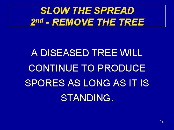 SLOW THE SPREAD 2 nd - REMOVE THE TREE A DISEASED TREE WILL CONTINUE