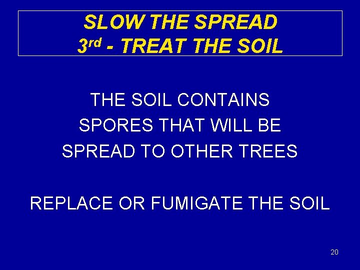 SLOW THE SPREAD 3 rd - TREAT THE SOIL CONTAINS SPORES THAT WILL BE