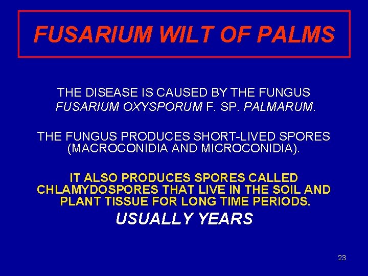 FUSARIUM WILT OF PALMS THE DISEASE IS CAUSED BY THE FUNGUS FUSARIUM OXYSPORUM F.