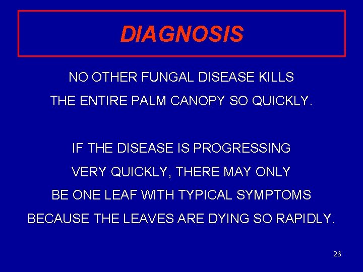 DIAGNOSIS NO OTHER FUNGAL DISEASE KILLS THE ENTIRE PALM CANOPY SO QUICKLY. IF THE