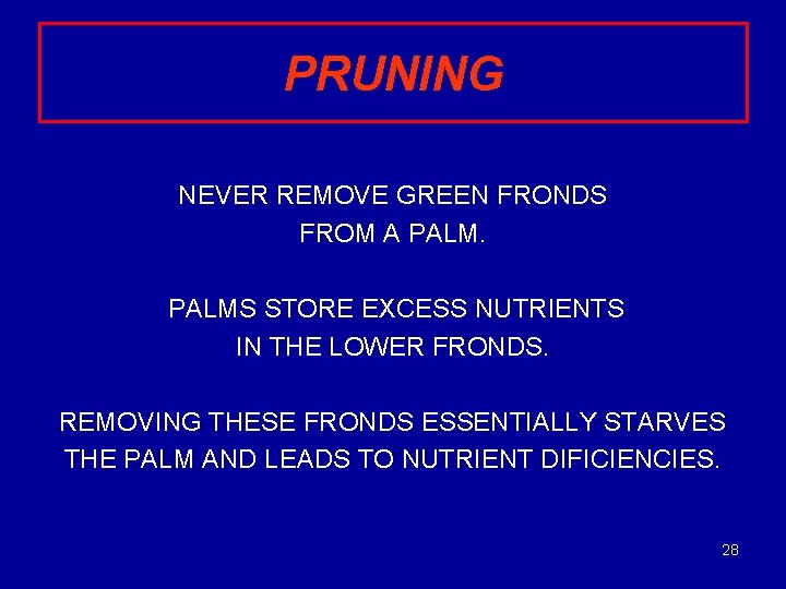 PRUNING NEVER REMOVE GREEN FRONDS FROM A PALMS STORE EXCESS NUTRIENTS IN THE LOWER