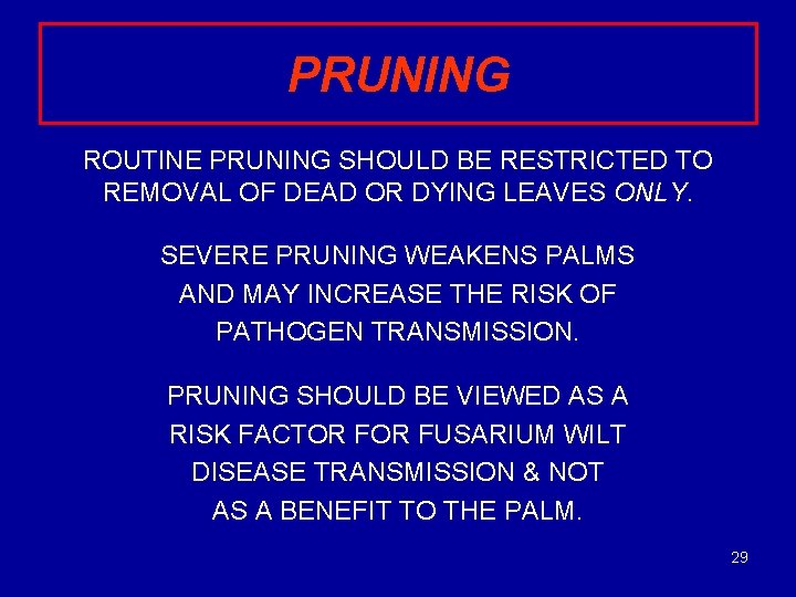 PRUNING ROUTINE PRUNING SHOULD BE RESTRICTED TO REMOVAL OF DEAD OR DYING LEAVES ONLY.