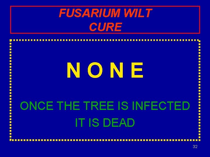FUSARIUM WILT CURE NONE ONCE THE TREE IS INFECTED IT IS DEAD 32 