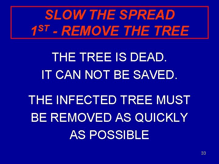 SLOW THE SPREAD ST 1 - REMOVE THE TREE IS DEAD. IT CAN NOT