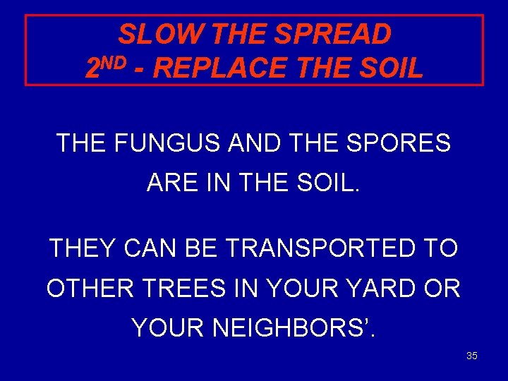 SLOW THE SPREAD 2 ND - REPLACE THE SOIL THE FUNGUS AND THE SPORES