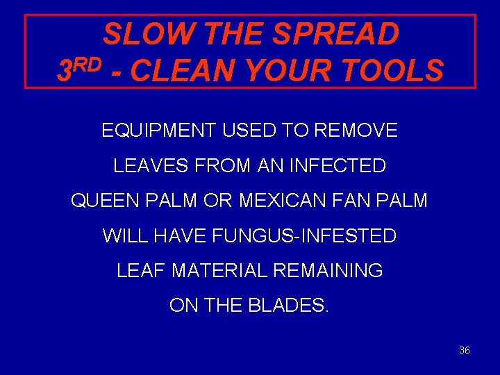 SLOW THE SPREAD RD 3 - CLEAN YOUR TOOLS EQUIPMENT USED TO REMOVE LEAVES
