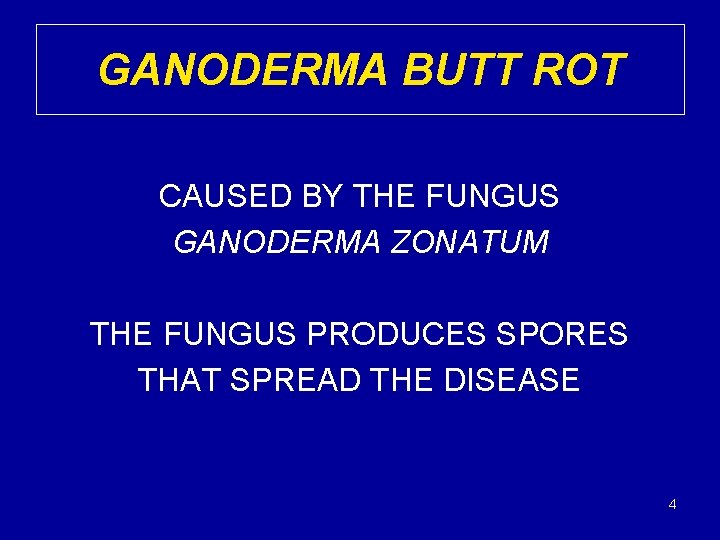 GANODERMA BUTT ROT CAUSED BY THE FUNGUS GANODERMA ZONATUM THE FUNGUS PRODUCES SPORES THAT