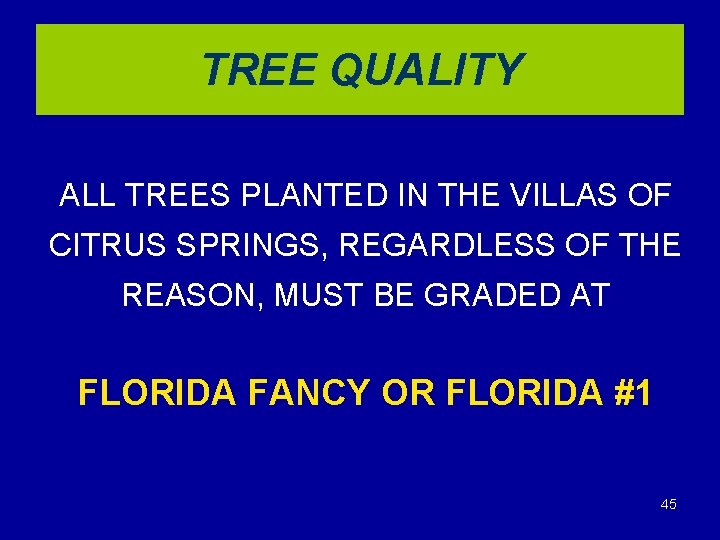 TREE QUALITY ALL TREES PLANTED IN THE VILLAS OF CITRUS SPRINGS, REGARDLESS OF THE