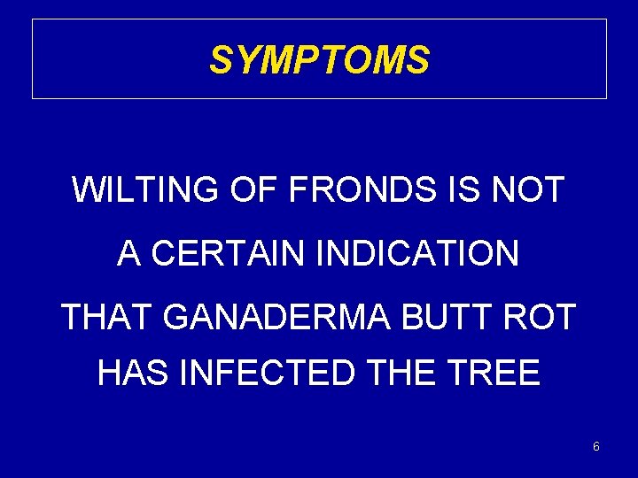 SYMPTOMS WILTING OF FRONDS IS NOT A CERTAIN INDICATION THAT GANADERMA BUTT ROT HAS