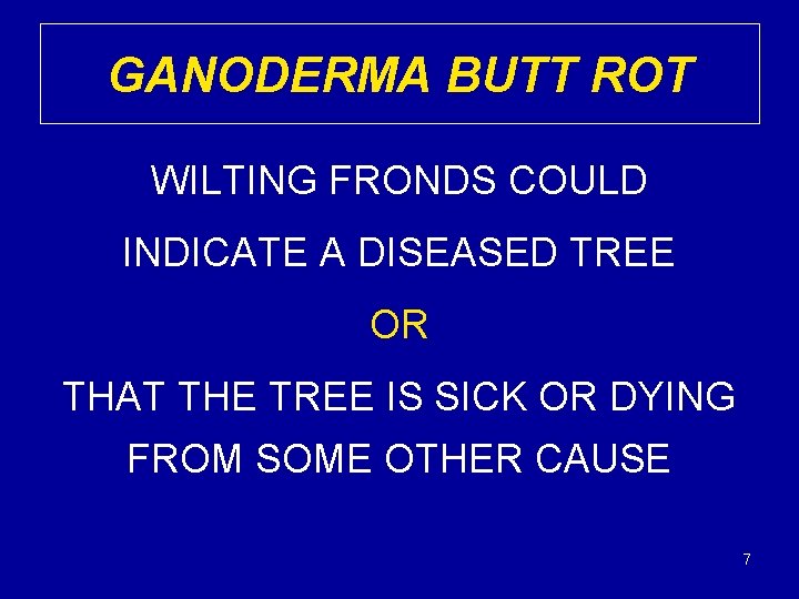 GANODERMA BUTT ROT WILTING FRONDS COULD INDICATE A DISEASED TREE OR THAT THE TREE