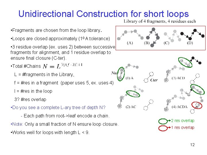 Unidirectional Construction for short loops • Fragments are chosen from the loop library. •