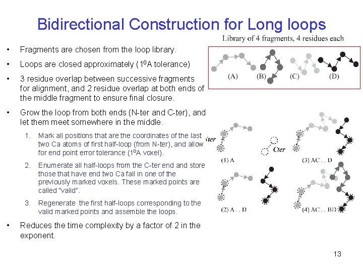 Bidirectional Construction for Long loops • Fragments are chosen from the loop library. •