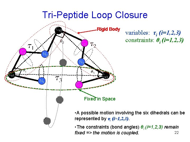 Tri-Peptide Loop Closure Cα 2 Rigid Body C 2 C 1 variables: τi (i=1,