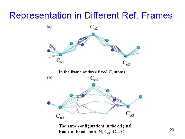Representation in Different Ref. Frames In the frame of three fixed Cα atoms. The