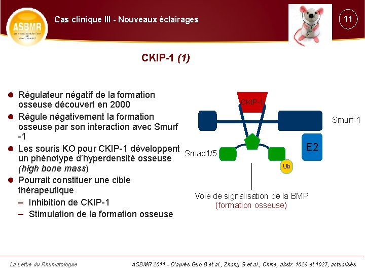 Cas clinique III - Nouveaux éclairages 11 CKIP-1 (1) Régulateur négatif de la formation