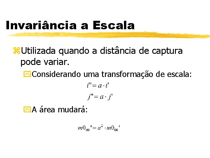Invariância a Escala z. Utilizada quando a distância de captura pode variar. y. Considerando