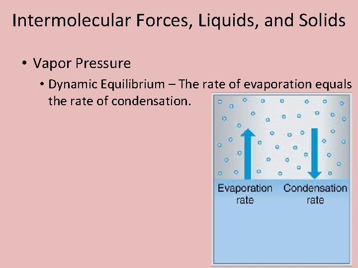 Intermolecular Forces, Liquids, and Solids • Vapor Pressure • Dynamic Equilibrium – The rate