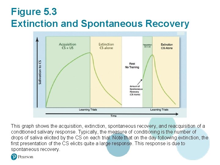 Figure 5. 3 Extinction and Spontaneous Recovery This graph shows the acquisition, extinction, spontaneous