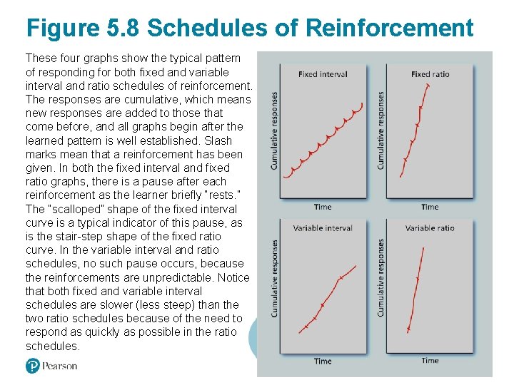 Figure 5. 8 Schedules of Reinforcement These four graphs show the typical pattern of