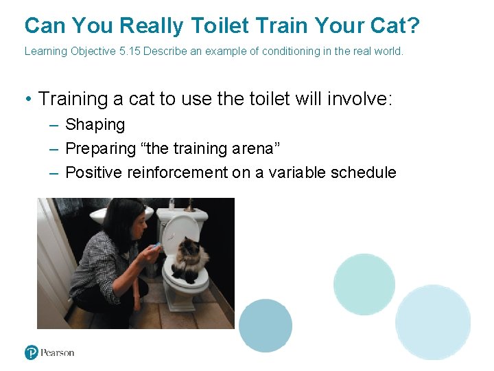 Can You Really Toilet Train Your Cat? Learning Objective 5. 15 Describe an example