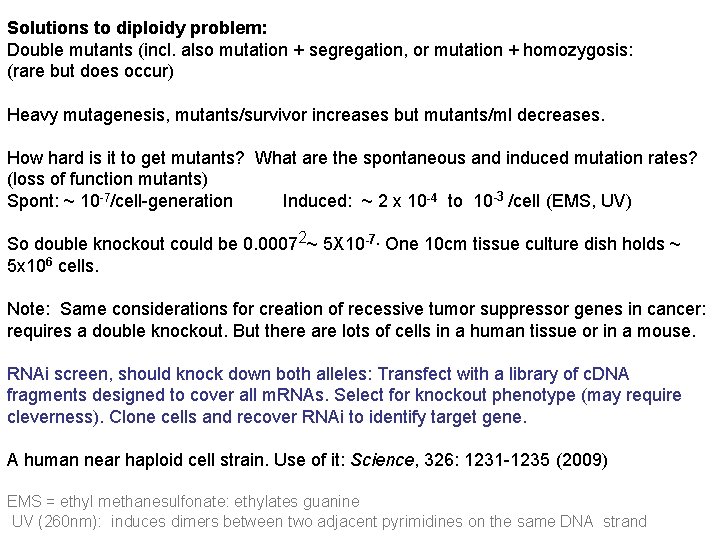 Solutions to diploidy problem: Double mutants (incl. also mutation + segregation, or mutation +