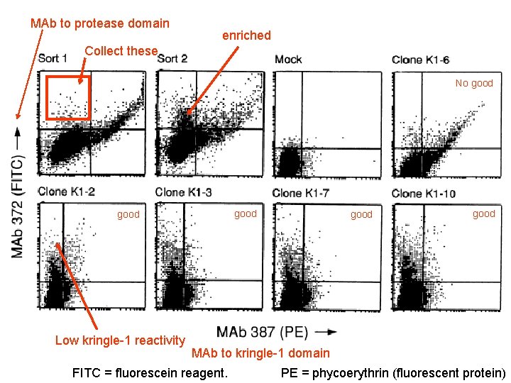 MAb to protease domain enriched Collect these No good Low kringle-1 reactivity good MAb