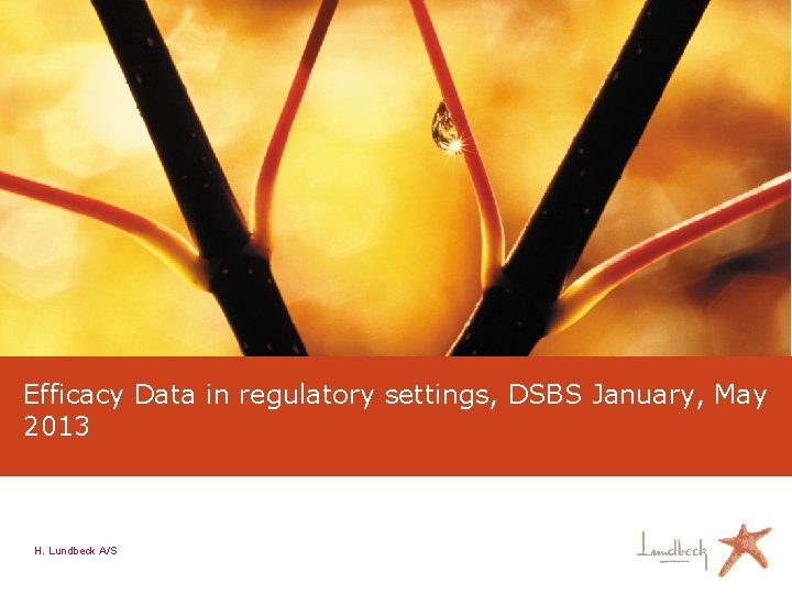 Efficacy Data in regulatory settings, DSBS January, May 2013 H. Lundbeck A/S 