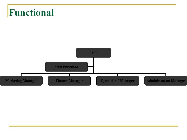Functional CEO Staff Functions Marketing Manager Finance Manager Operational Manager Administration Manager 