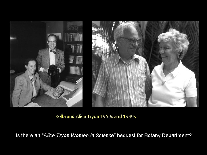 Rolla and Alice Tryon 1950 s and 1990 s Is there an “Alice Tryon