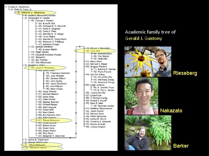 Academic family tree of Gerald J. Gastony Rieseberg Nakazato Barker 