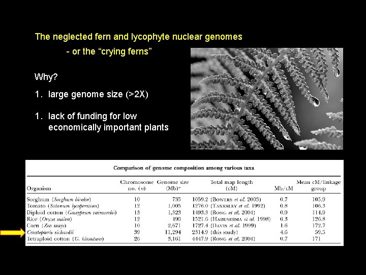 The neglected fern and lycophyte nuclear genomes - or the “crying ferns” Why? 1.