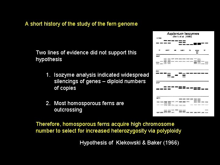A short history of the study of the fern genome Two lines of evidence