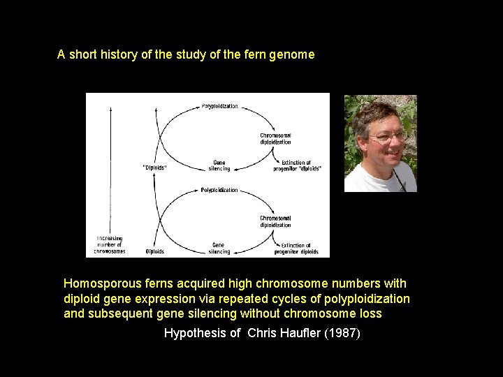 A short history of the study of the fern genome Homosporous ferns acquired high